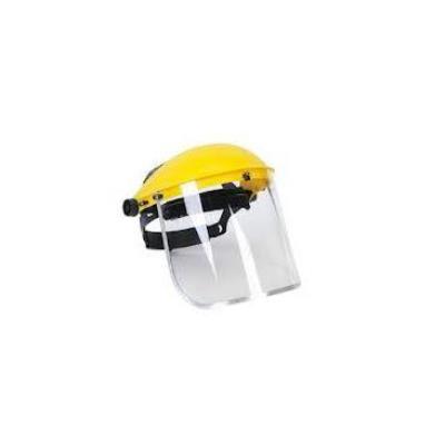 Buy Browguard & Visor Complete