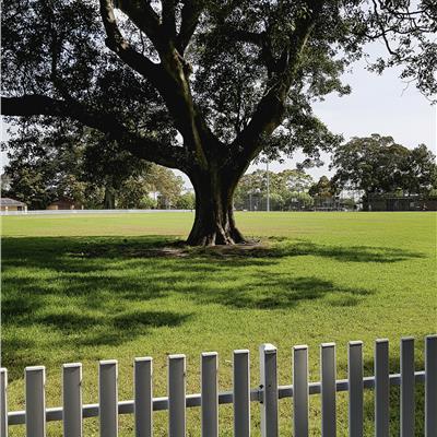 Buy Low Maintenance - Shady Places 10 kg